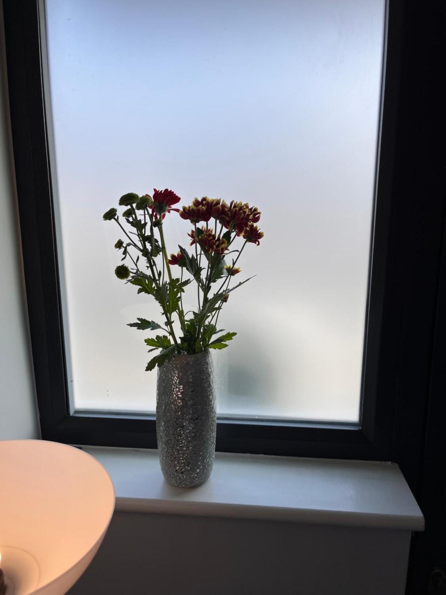 Home From Home Cosy B&B Londra Esterno foto